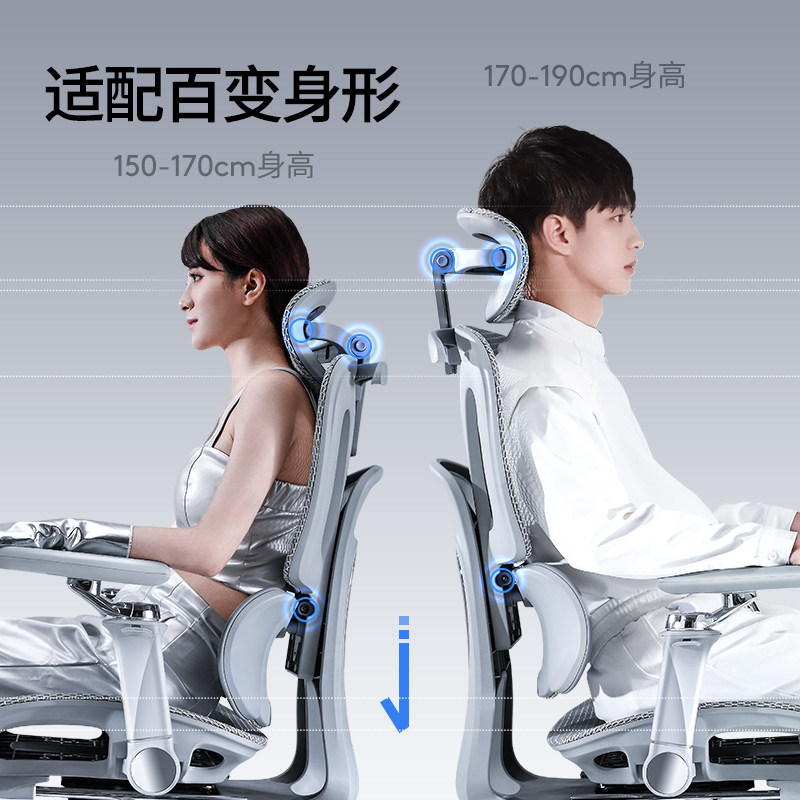 Ergonomic Office Chair with Lu - Esports Gaming Chair 评论和价格